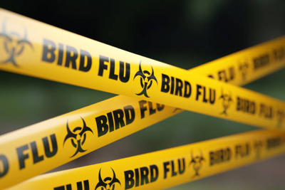 Bird flu deaths at Lincoln Park Zoo lead bird house