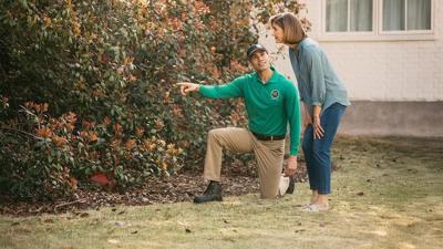 Summer is coming: How to keep pesky mosquitoes away