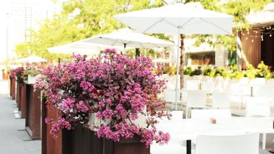 Outdoor dining section
