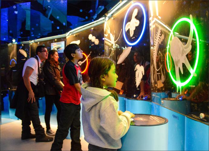 Field Museum's Unseen Oceans exhibition. (Photo by Roderick Mickens AMNH for Field Museum)