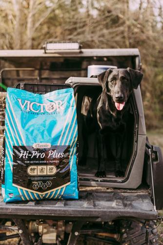 VICTOR PET FOOD INVITES PET PARENTS TO “FLIP THE BAG” AND COMPARE REAL MEAT PROTEIN