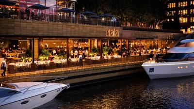 Rendering of NAIA, coming soon to 300 N. LaSalle. (Photo courtesy of NAIA)