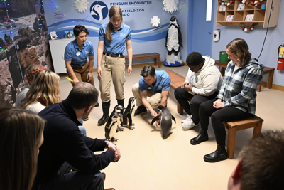 Brookfield Zoo Chicago to star in new holiday movie on Tubi image one