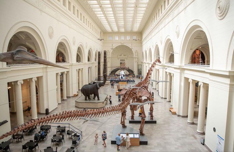 Chicago History Museum