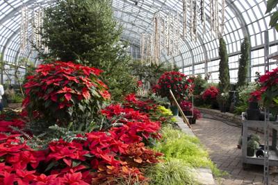 Merry & Bright holiday show in full bloom at Garfield Park Conservatory. (Garfield Park Conservatory photo)