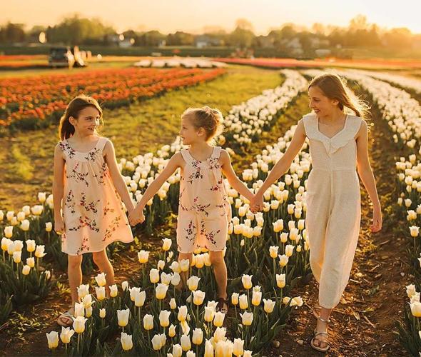 Richardson Farm Tulip Festival opens mid-April in Spring Grove, IL. (Photo | Richardson Farm)