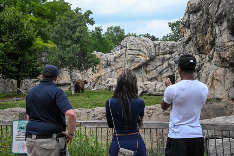 Chicago Bears rookie Malik Muhammad impresses on and off the field at Brookfield Zoo