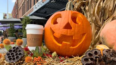 Beatrix Pumpkin Carving