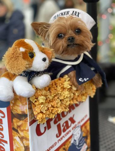 Jill Monascalco's Jax (aka Cracker Jax). (Harry Caray's photo)