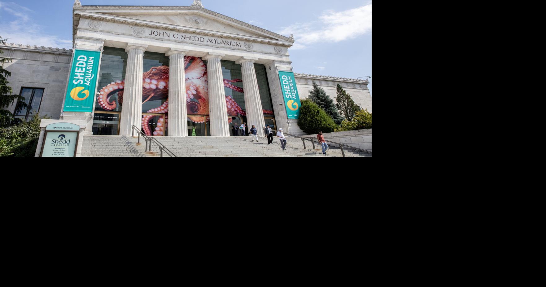 Shedd Aquarium free for Illinois residents News