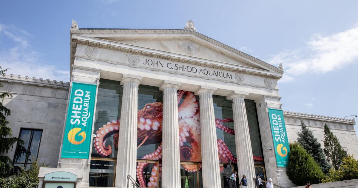 Shedd Aquarium Illinois Free Days 2025