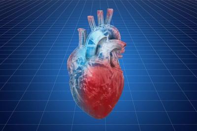 Pre-Diabetic Condition Could Spur Heart Valve Disease