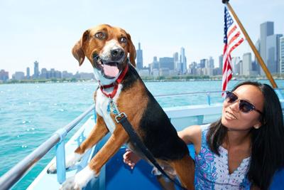 Paws on deck! Canine Cruise returns aboard First Lady for a doggone good time