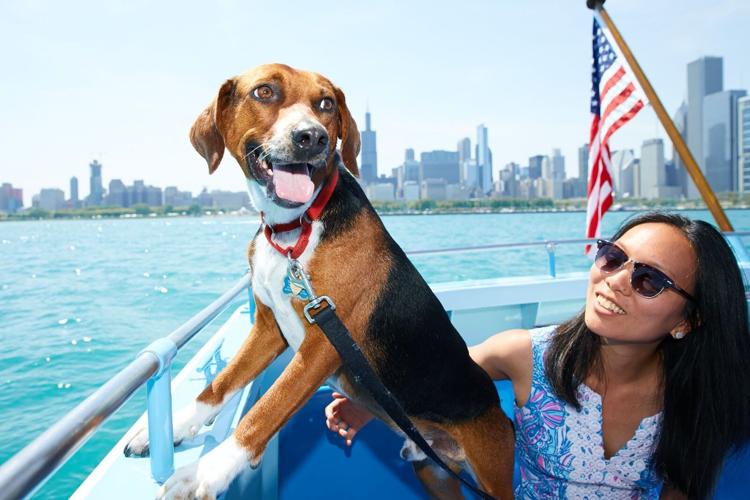 Paws on deck! Canine Cruise returns aboard First Lady for a doggone good time
