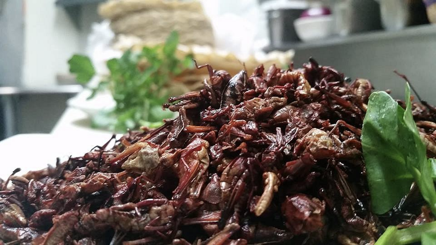 Five of the most unusual Chicago food items image six