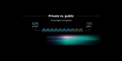 82% of the 2024 Deloitte North America Technology Fast 500 companies are private – the highest number of private companies named to the list in program history – while 18% are public.