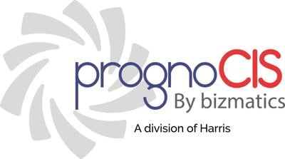 Bizmatics logo