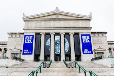 Free Winter Wednesdays at the Field Museum!