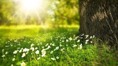 Open space grass land preservation generic