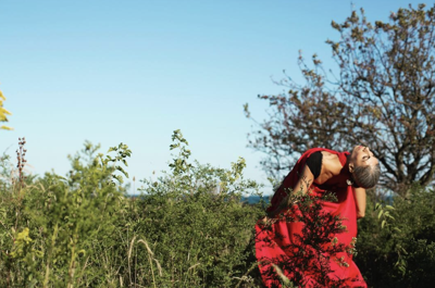 Firebird dance pop-up returns to Chicago Parks this June