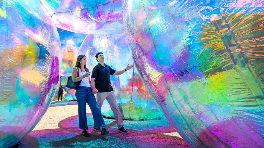 "Shimmering Summer"exhibition now at the Chicago Botanic Garden through Sept. 20. (Chicago Botanic Garden photo)