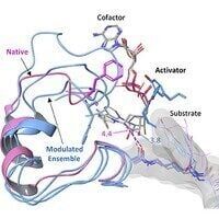 Researchers present novel therapeutics that rejuvenate a previously undruggable mitochondrial regulator of aging through a new mode of enzyme activation.