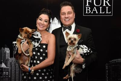 PAWS Chicago will host its 21st annual Fur Ball at the Drake Hotel on November 11.