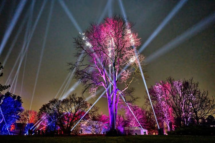 Illumination brings holiday magic back to The Morton Arboretum4
