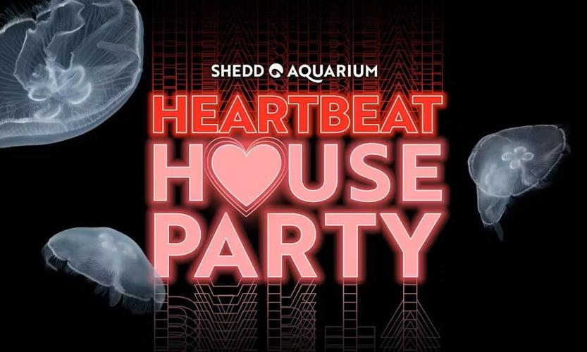 Heartbeat House Party: Adult Valentine’s at Shedd coming Feb. 14.