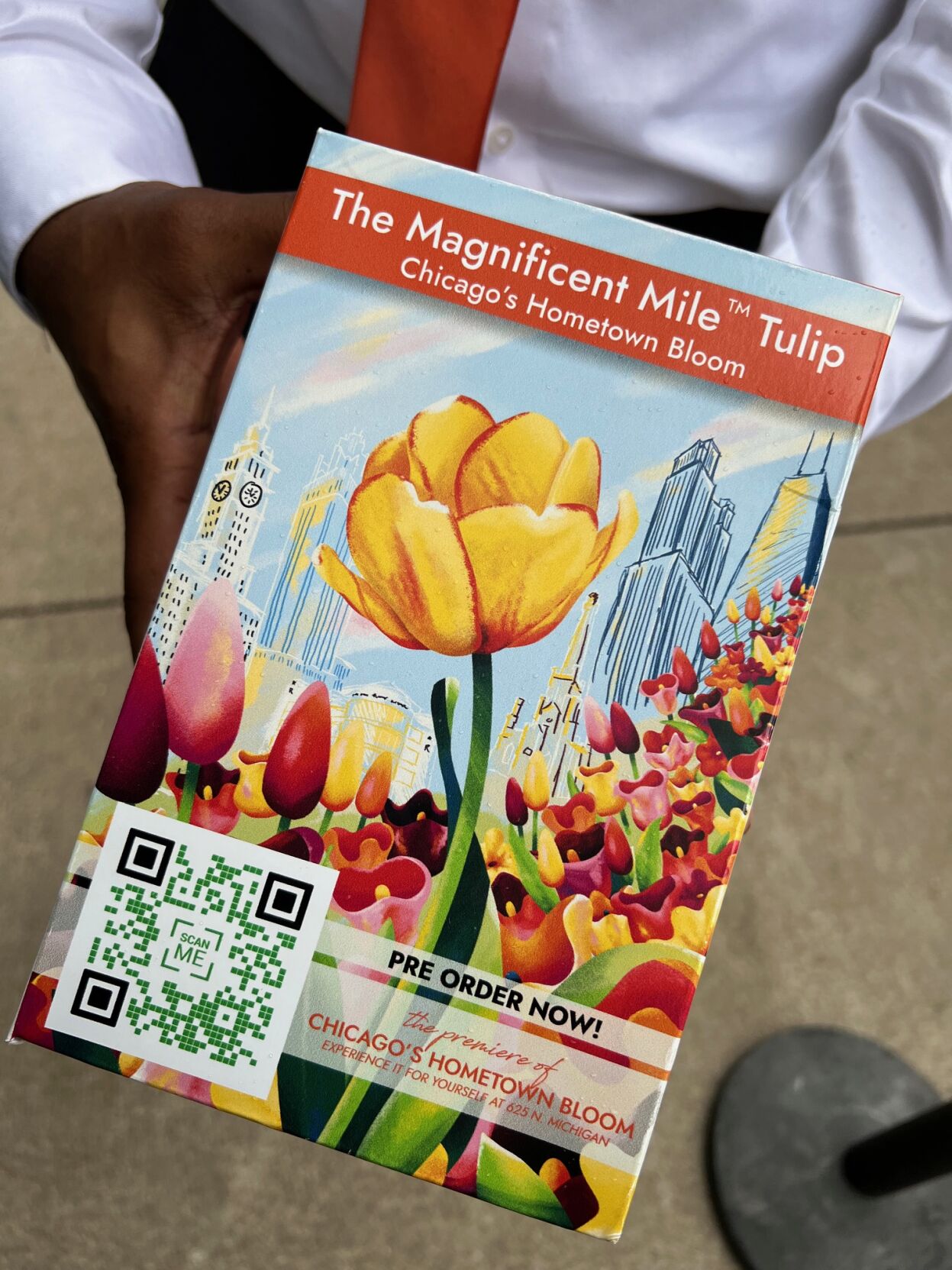 Chalet Nursery is selling a 12-bulb pack of the unique tulip for $19.99. (Photo | Candace Jordan)