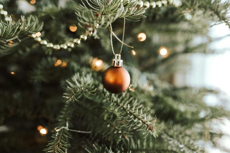 Where to find the perfect Christmas Tree in Chicago this season 2