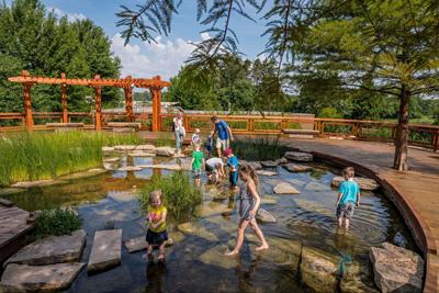 Whimsical wildlife takes over Morton Arboretum with "Vivid Creatures" exhibit