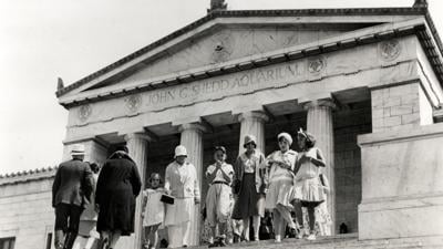 Shedd Aquarium turns 95, shares rare glimpses into its archival opening photos one