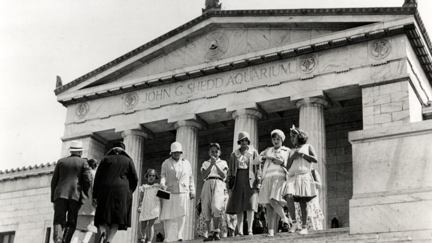 Shedd Aquarium turns 95, shares rare glimpses into its archival opening photos one