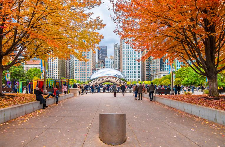 fall in chicago at the bean