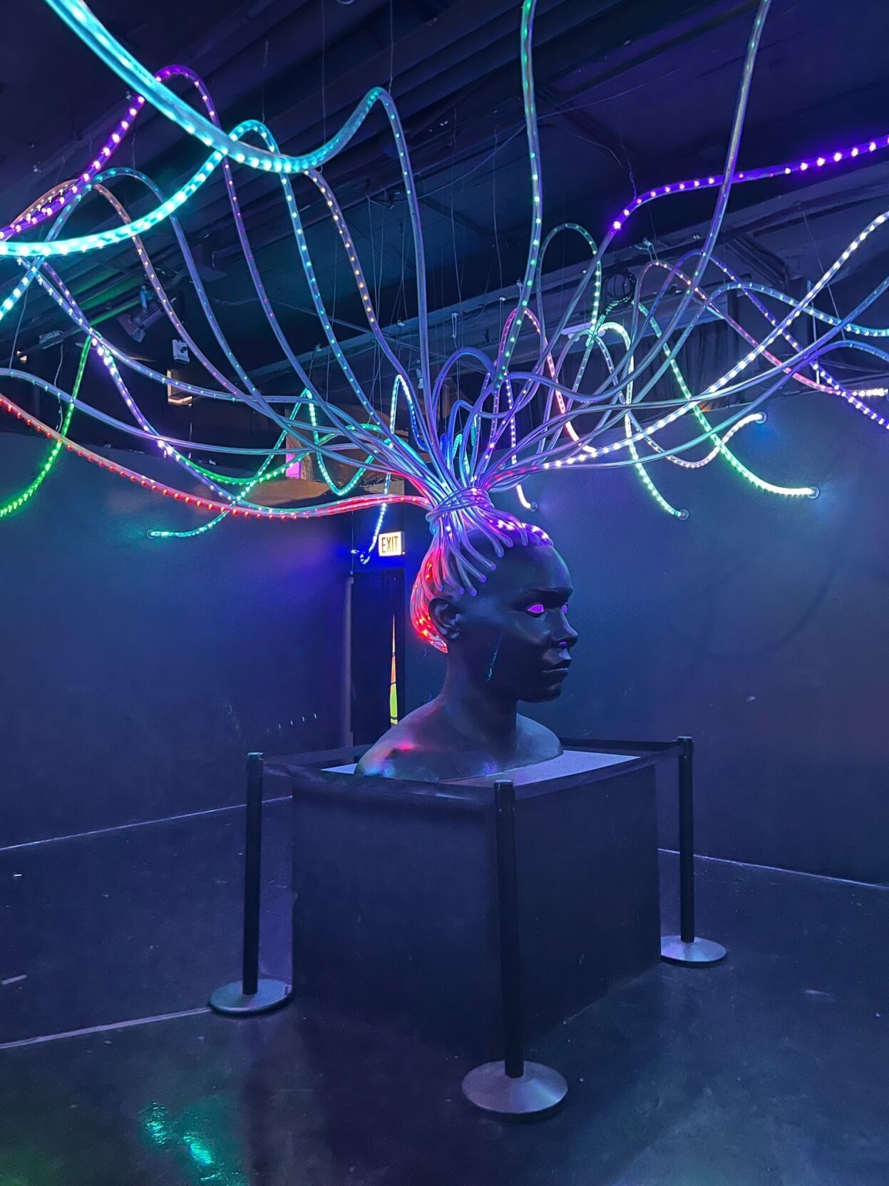 Dramatic exhibit at WNDR Museum inspired by Maya Angelou.