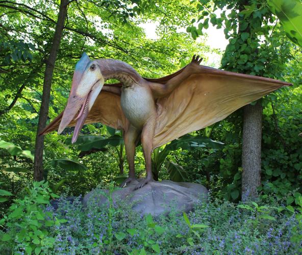 Dino Dash Fun Run: Brookfield Zoo, Chicago, to host two races image two