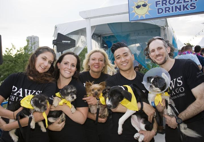 Volunteers Michele McIntire with McKenna, Molly Millet with Marlo, Heidi Hunt with Mirabel, Mike Lin with London and Matthew Fox with Betty Sue at the PAWS Beach Party, 2018. (Candace Jordan photo)