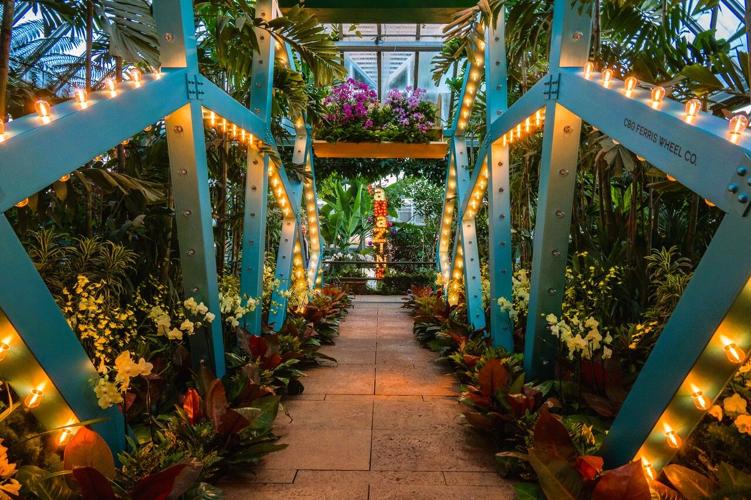 Chicago Botanic Garden Orchid Show, now through March 24. (Photo | Chicago Botanic Garden)