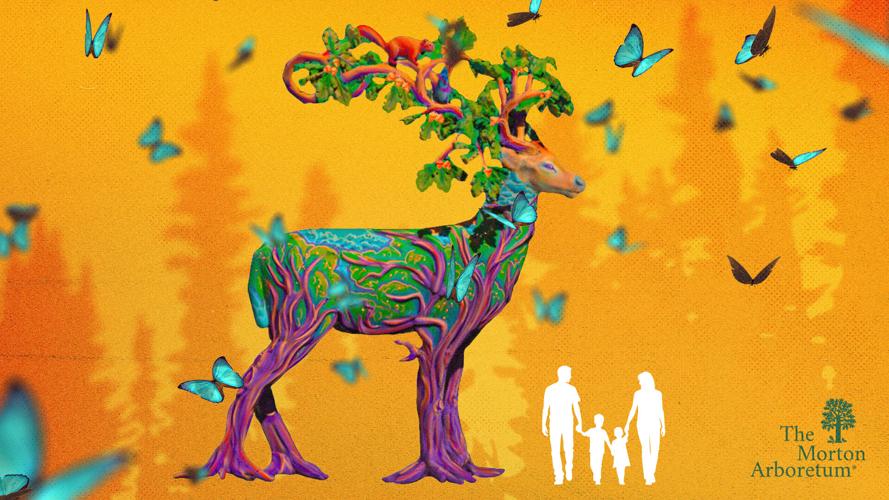 "White-tailed Deer" from Morton Arboretum's "Vivid Creatures" exhibit by Heather BeGaetz and Fez BeGaetz.