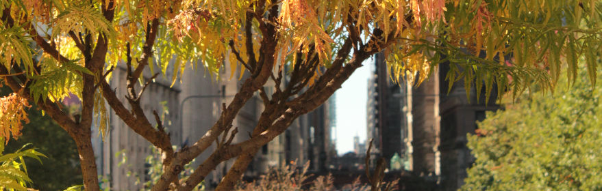 IMG_8181a-01