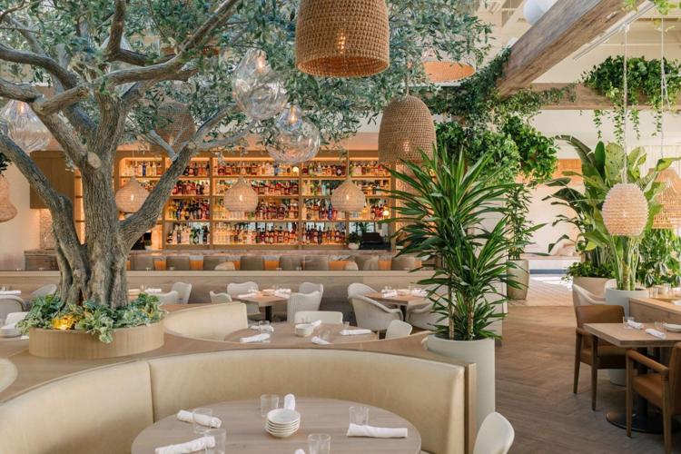 Ēma from Lettuce Entertain You opens second restaurant in Glenview, IL