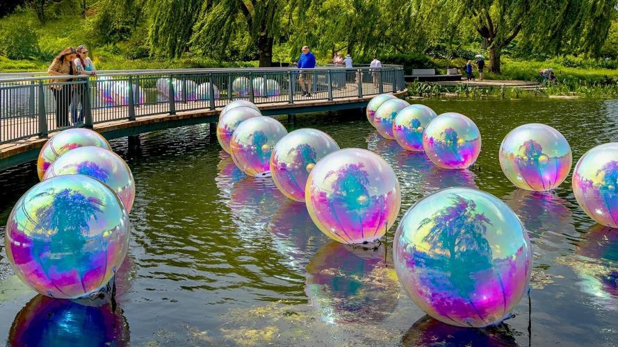 "Shimmering Summer"exhibition now at the Chicago Botanic Garden through Sept. 20. (Chicago Botanic Garden photo)
