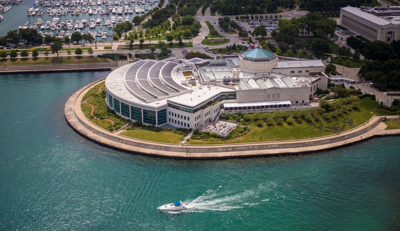 Escape to an aquatic adventure at the Shedd Aquarium's upcoming free entry days