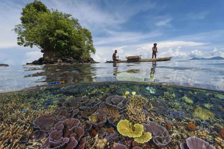National Geographic live