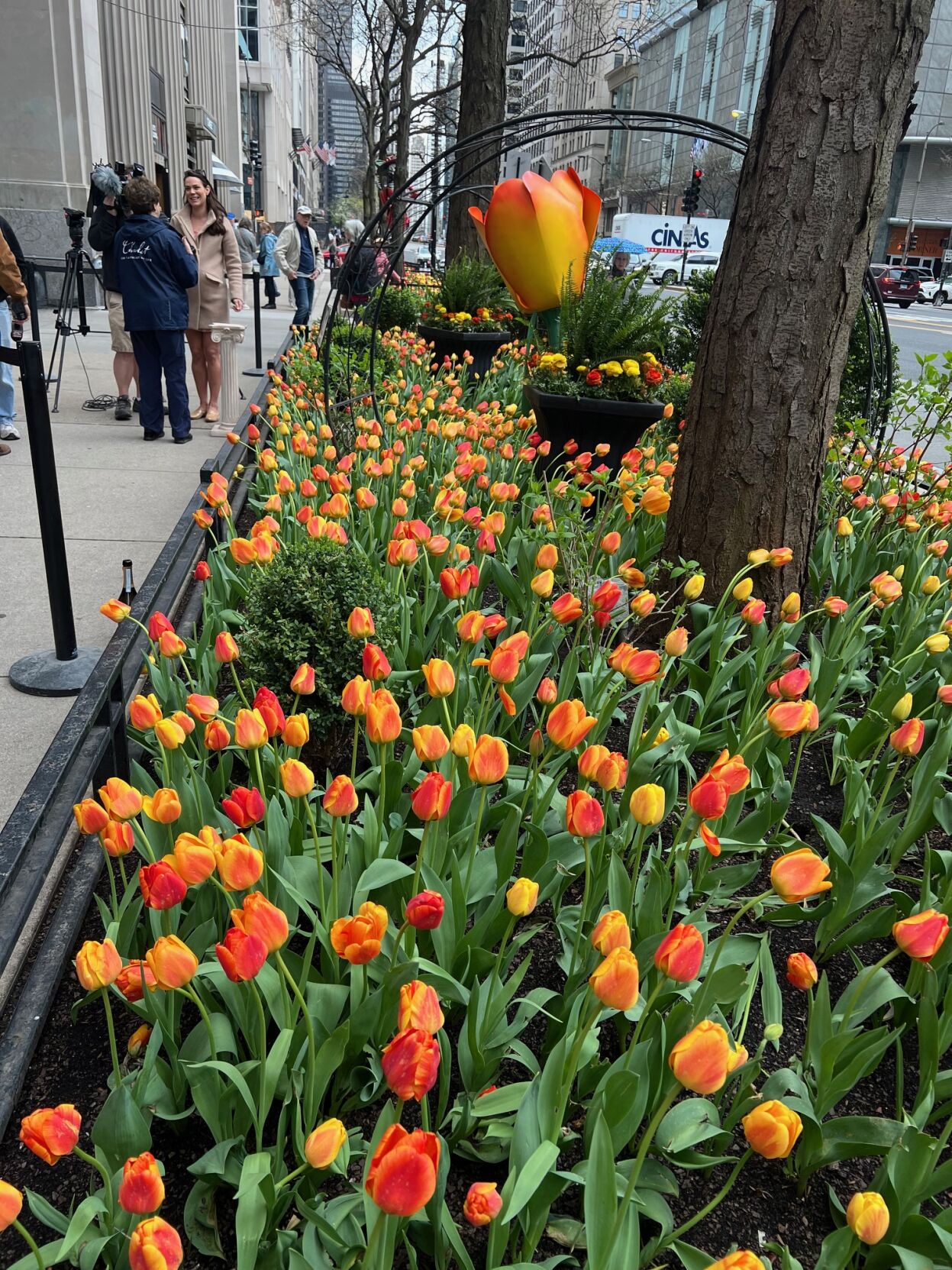 The Magnificent Mile Tulip can be seen at 625 N.Michigan Ave. (Photo | Candace Jordan)