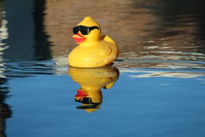 20th anniversary of Special Olympics Ducky Derby returns to the Chicago River
