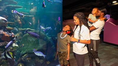 A Sensory-Friendly Vacation in Myrtle Beach