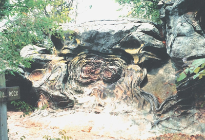 Nature’s sculptures and Stone giants on display at the Garden of the Gods