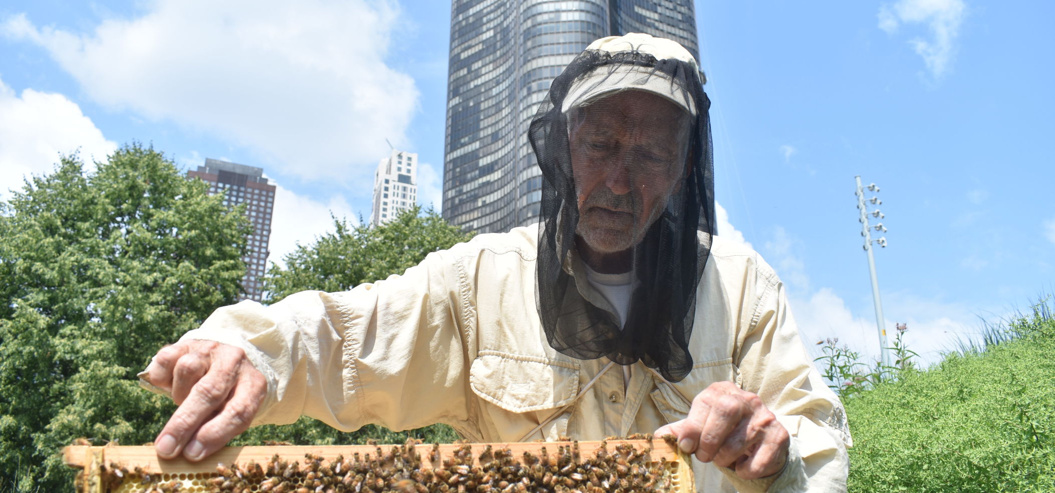 Michael Thompson, the farm manager and director of Chicago Honey Co-Op, opens a frame from a honey bee hive halfway up the sloping roof of the Navy Pier’s new welcome center. Photo by Jesse Wright